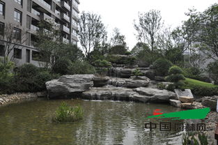 普天園林問鼎2014中國風(fēng)景園林學(xué)會優(yōu)秀園林工程大金獎，假山藝術(shù)再創(chuàng)輝煌