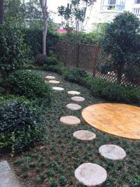 打造理想庭院 上海園林景觀施工與改造的專業(yè)實(shí)踐