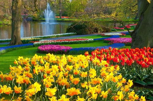 疊石成景，巧筑自然——園林假山設(shè)計(jì)施工的六個(gè)核心秘訣